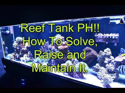 PH!! How To Solve, Raise and Maintain It In A Reef Tank