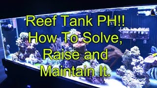PH!! How To Solve, Raise and Maintain It In A Reef Tank