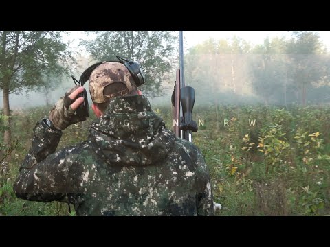 Hirsch-Pirsch im Einstand – auf Tuchfühlung mit einem serbischen Auwald-Riesen – jagenNRW story #20