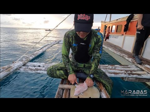 EP774-P2 - Palawan Experience | Day 2