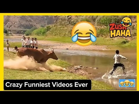 Crazy Funniest Videos Ever In The World At The Moment - Try Not To Laugh challenge 2025