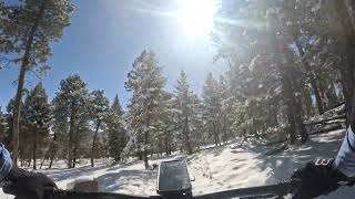 Shadow Pine Loop - Flying J Ranch - Conifer - Colorado