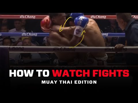 3 Tips to Watch Fights CORRECTLY