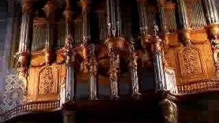 Bombardes of Albi Cathedral organ