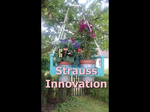 Shopempfehlung: Strauss Innovation - Neues für meinen Garten (P)