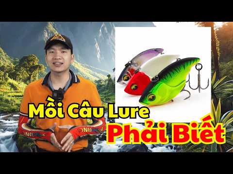 How to choose effective fishing lure bait - 3 types of bait that beginners must know how to choose