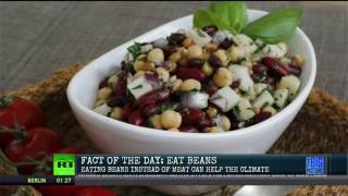 Eating Beans Not Beef Helps Greenhouse Gasses