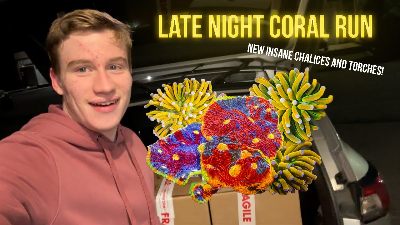 Unboxing The HOLY GRAIL!!!