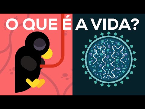 O que é a vida? A morte é real?