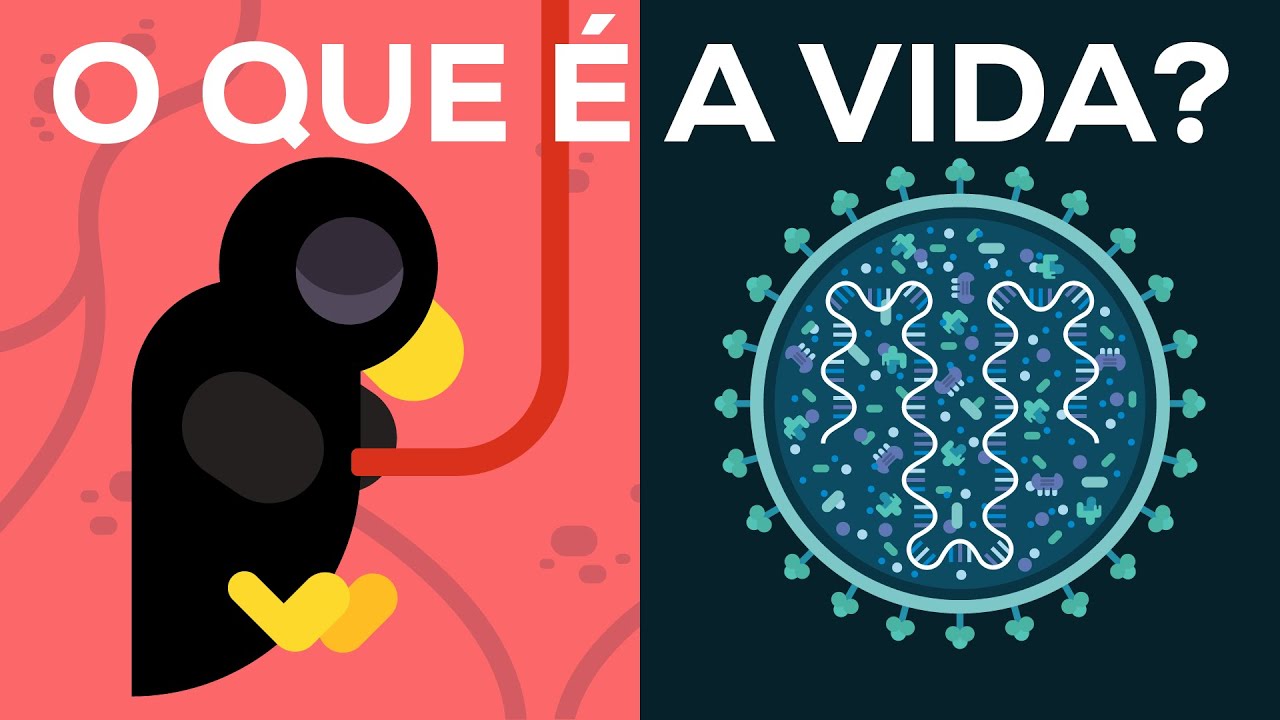 O que é a vida? A morte é real?