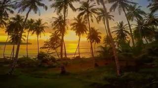 MENTAWAI SURF RETREAT