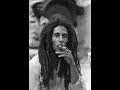 Bob Marley Ft. Chuck D 🎩 Survival a.k.a. Black Survivors