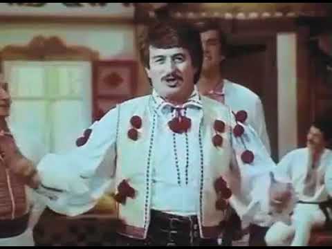 Іван Попович розлук не буде