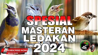 Download lagu MASTERAN SPESIAL LEDAKAN 2024 KOMPILASI MEWAH UNTUK SEMUA JENIS BURUNG MURAI BATU DAN CUCAK IJO !! mp3