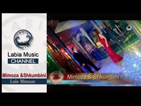 Mimoza & Shkumbini - Lule mimoze