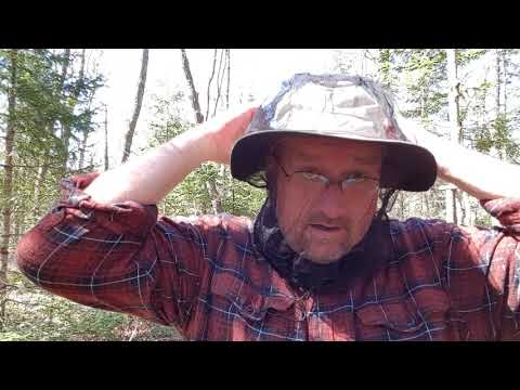 Gear Review: Sea To Summit Head Net