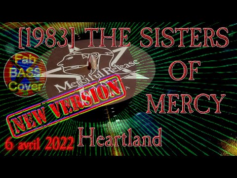 Video Lesson