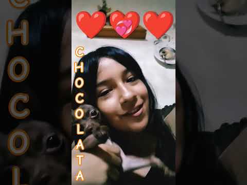 Mi hermosa Chocolatita, así se llama ❤️