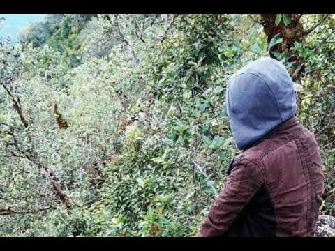 C.Vanlalzuia - Numam