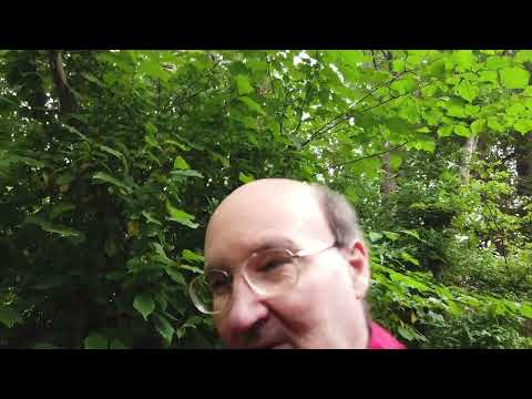 MongoTV_12333 - MIN GÅTUR - Del 3 - Torsdag 29.Juni 2023 - Opgav Gåtur - Cyklet Til LIDL og NETTO