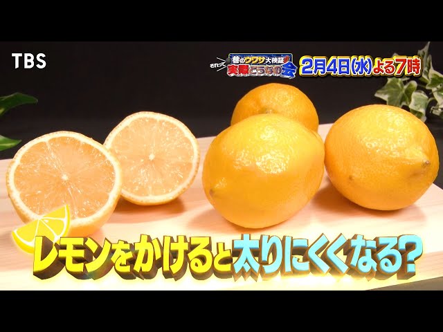 それって実際どうなの会【レモンかければ太らない？】【赤字の店がタコスで丸儲け!?】