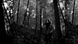 Larvae - Warding