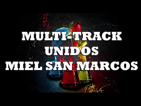 MULTI-TRACK - UNIDOS - MSM