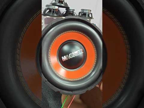 10inch subwoofer#bass #testing #time #magnetz #subwoofer #10" #300w #performance #box #dj