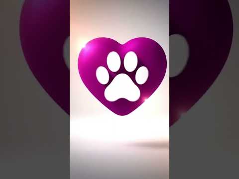 Vídeo de Luna e belinha 