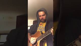 Fox in the Snow (Belle and Sebastian Cover)