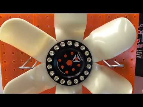 RIW Sponsor Race-Fan Spotlight