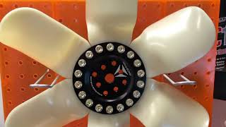 RIW Sponsor Race-Fan Spotlight