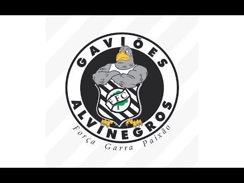 TORCIDAS ORGANIZADAS DO BRASIL - GAVIÕES ALVINEGROS #26