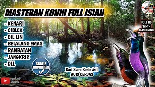 Download lagu MASTERAN KONIN FULL ISIAN | ROLL TEMBAK mp3