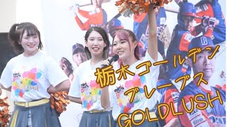 栃木ゴールデンブレーブス GOLDLUSH2024.8.23