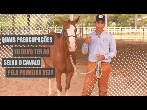 Colocação da sela pela 1ª vez no meu cavalo