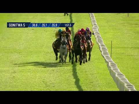 Dzień 36 - (12.10.2024) Tor Służewiec