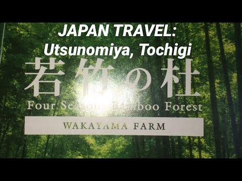Japan Travel | Wakayama Bamboo Forest - Utsunomiya, Tochigi, Japan