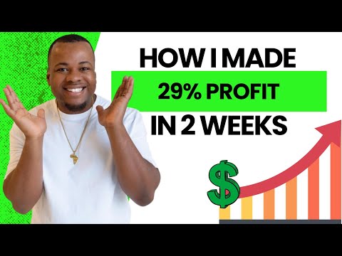 How I Made 29% in 2 Weeks on Complete Auto-Pilot 🤑🤑🤑