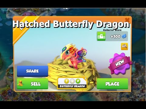 Hatched Butterfly Dragon-Dragon Mania legends | Coconut Dragon board event | DML