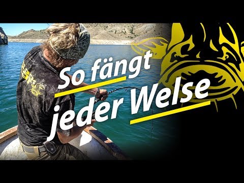 So fängt jeder Welse | Super fängige Vertikal-Waller-Montage für alle Gewässer Europas