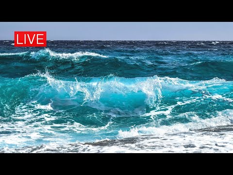 🌹Ocean Dreams & Best Relaxing Instrumental Music for Sleeping - Stress Relief, Deep Sleep, Calming