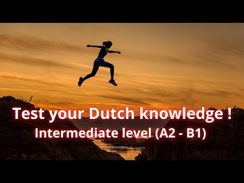 Test your Dutch knowledge ! (Intermediate level A2 - B1)