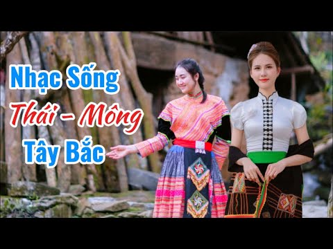 NHẠC SỐNG THÁI MÔNG VÙNG CAO TÂY BẮC TOÀN BÀI HAY GÁI CỰC XINH 2025