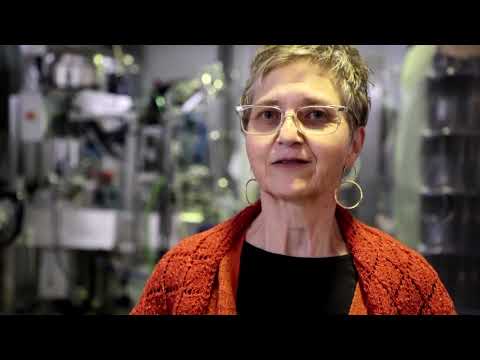 Beer inspired by 5,000-year-old Sumerian recipe served up Madrid | REUTERS