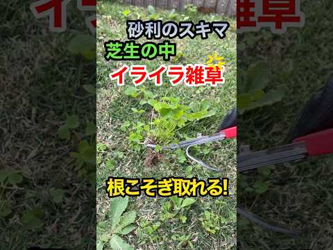 選択的除草剤 2022年春