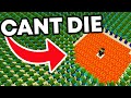 I Spent 100 Days To Survive The Apocalypse