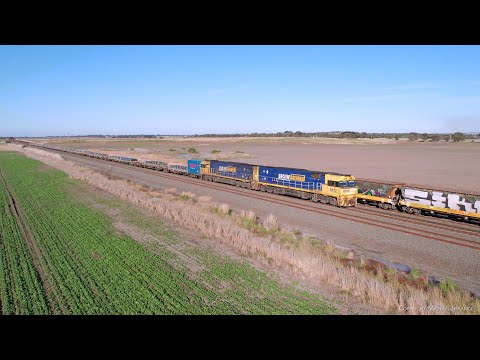 5MP2 Pacific National InfraBuild / Liberty Steel Train Crosses Grain Train (27/7/2023) - PoathTV