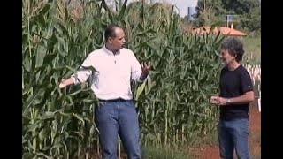 Miniatura do vídeo
