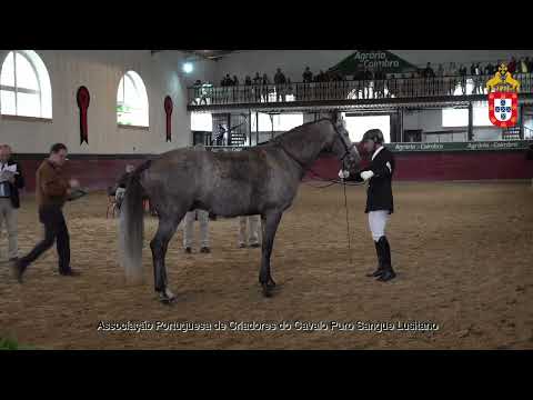 231021 10 Nativo CS - Aprovação de Reprodutores